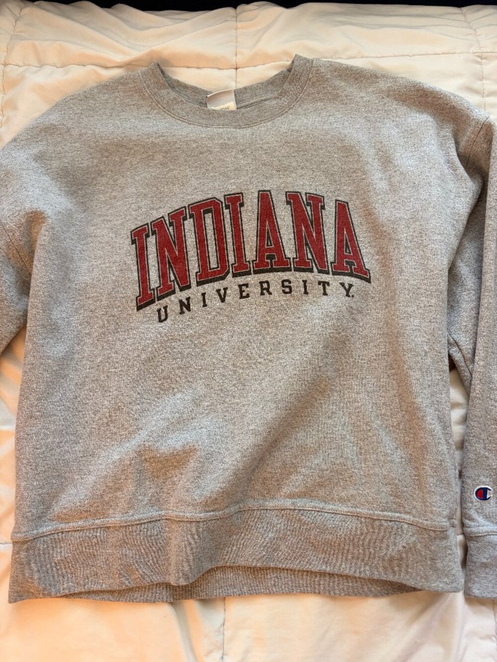 Champion Men's Grey Sweatshirt